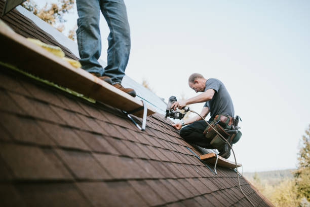 Best Roof Leak Repair  in Blacksburg, VA